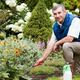 Image for article titled New Hobby To Tide Retired Man Over Until Death